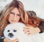 Unisciti alla protesta della Fondazione Brigitte Bardot per fermare il massacro delle foche canadesi